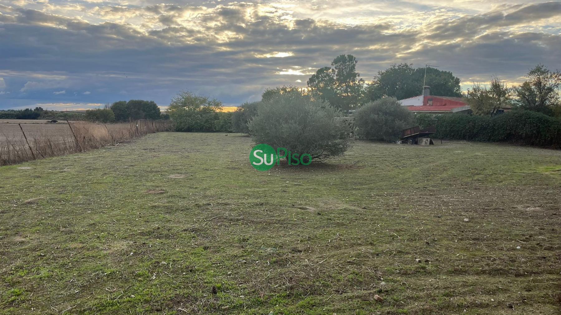 For sale of land in Illescas