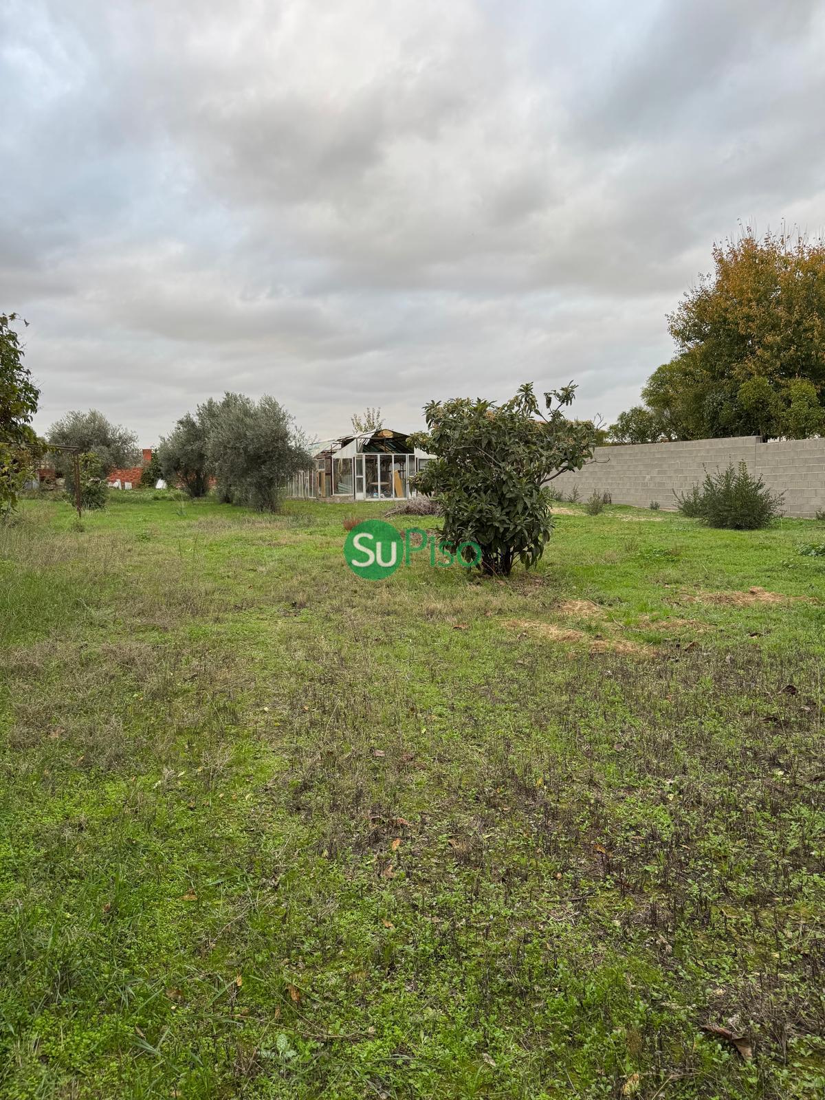 Venta de terreno en Yuncos