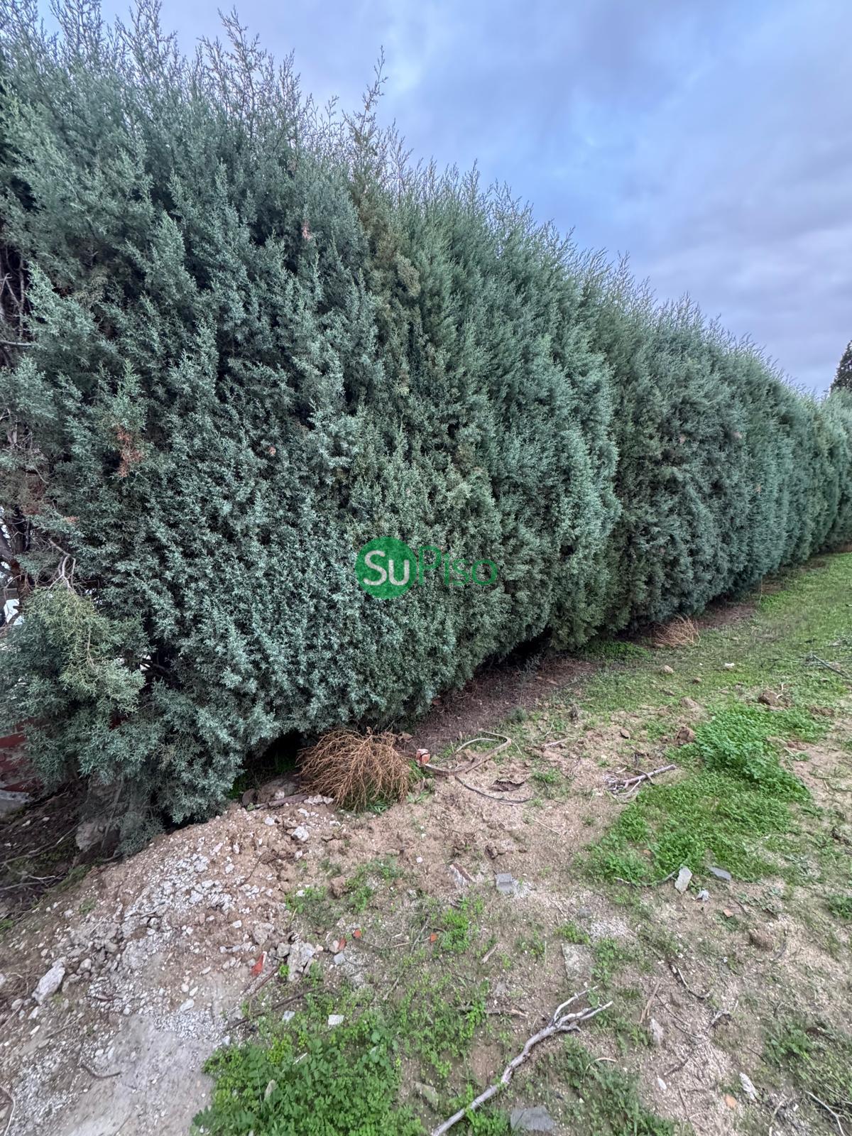 Venta de terreno en Yuncos