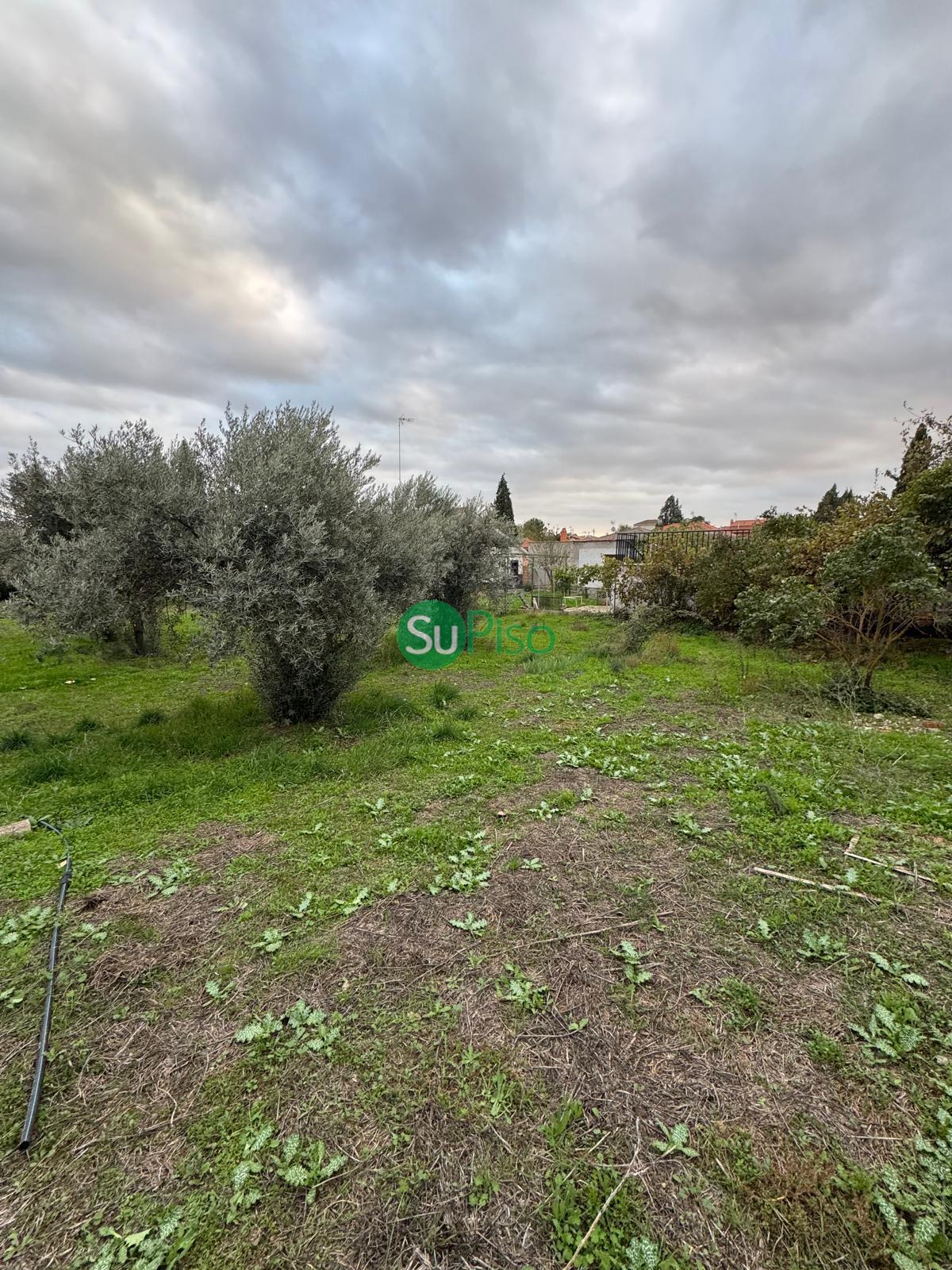 Venta de terreno en Yuncos