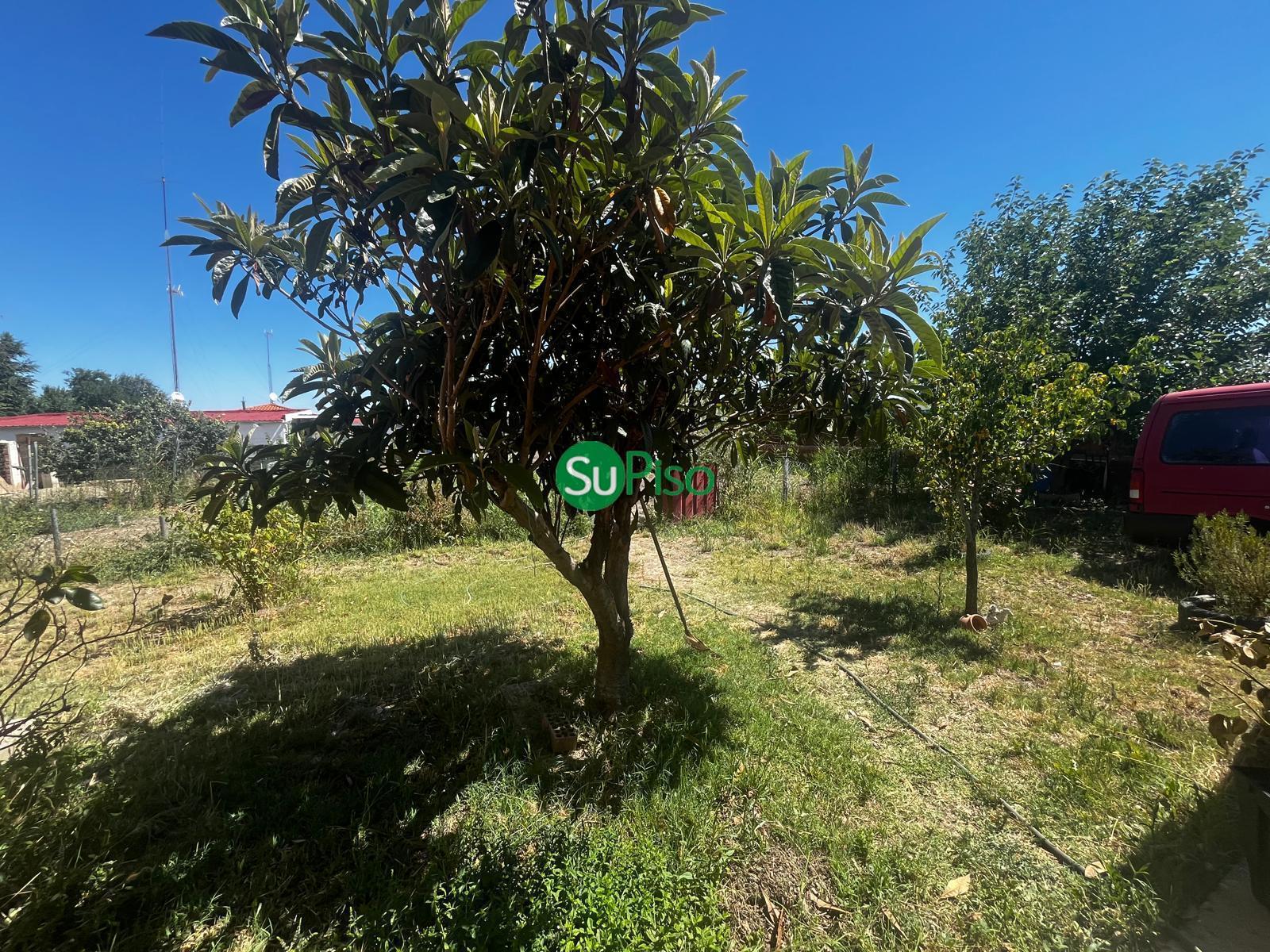 For sale of chalet in Yeles
