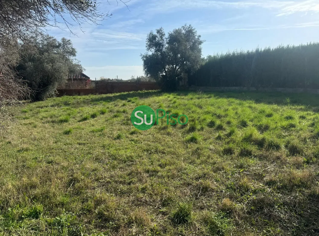For sale of land in Yuncos