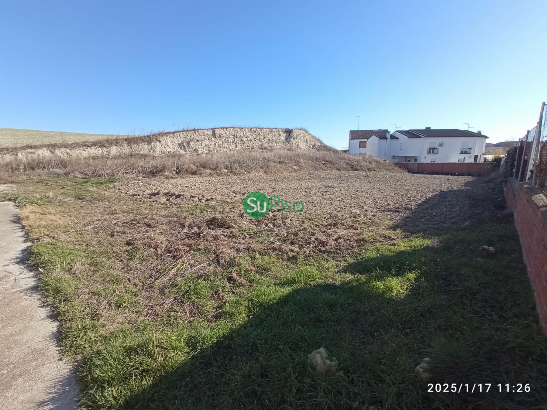For sale of land in Borox