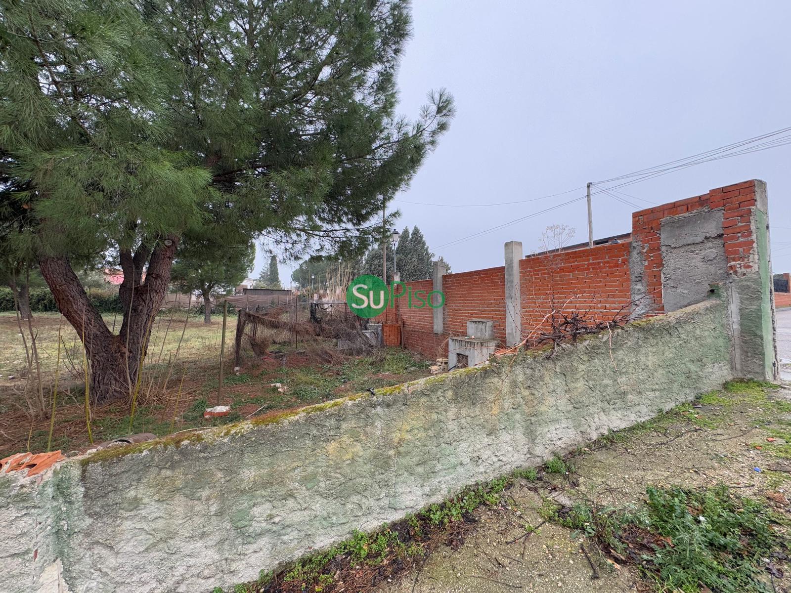 For sale of chalet in El Viso de San Juan