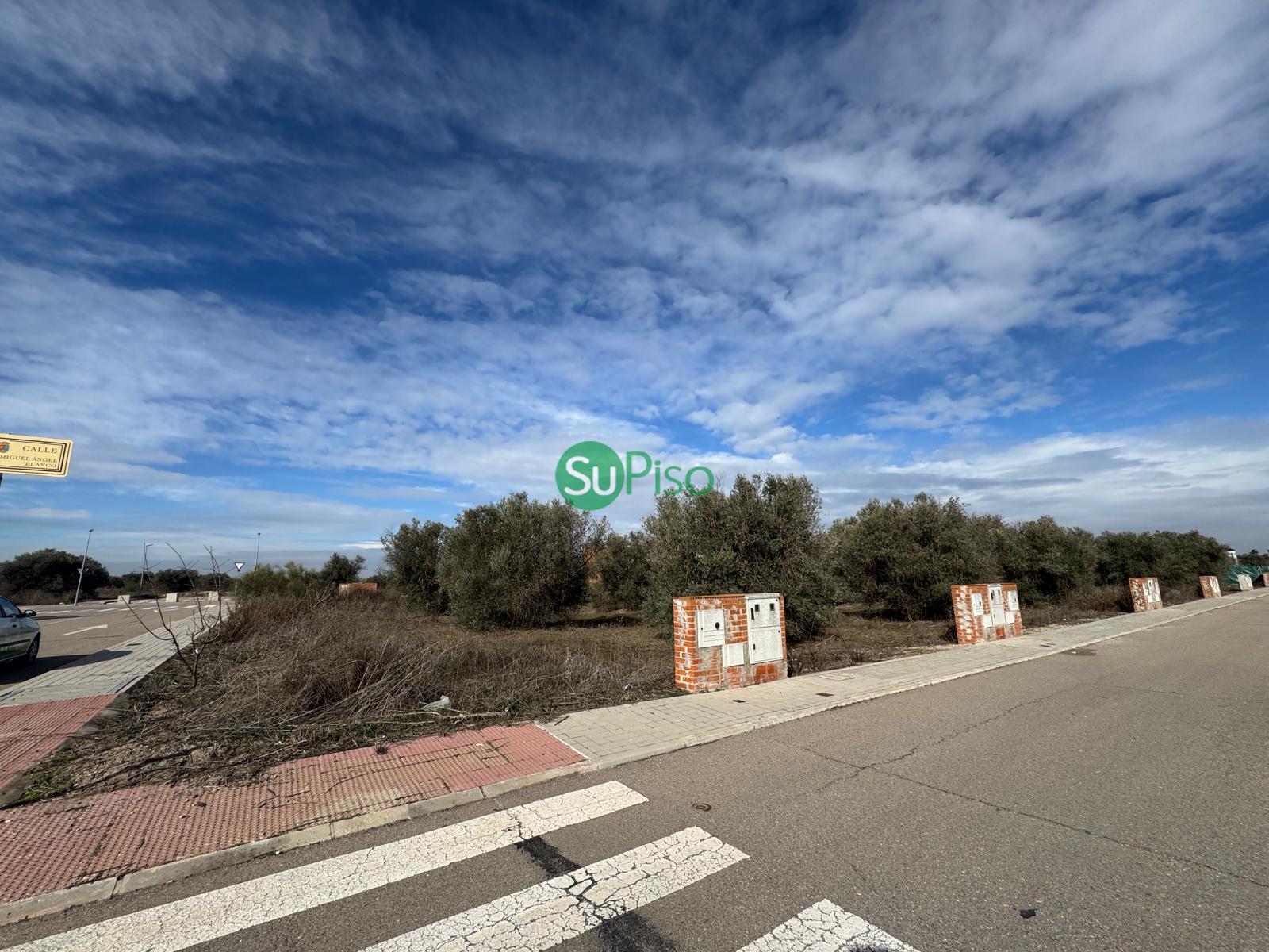 For sale of land in Yeles