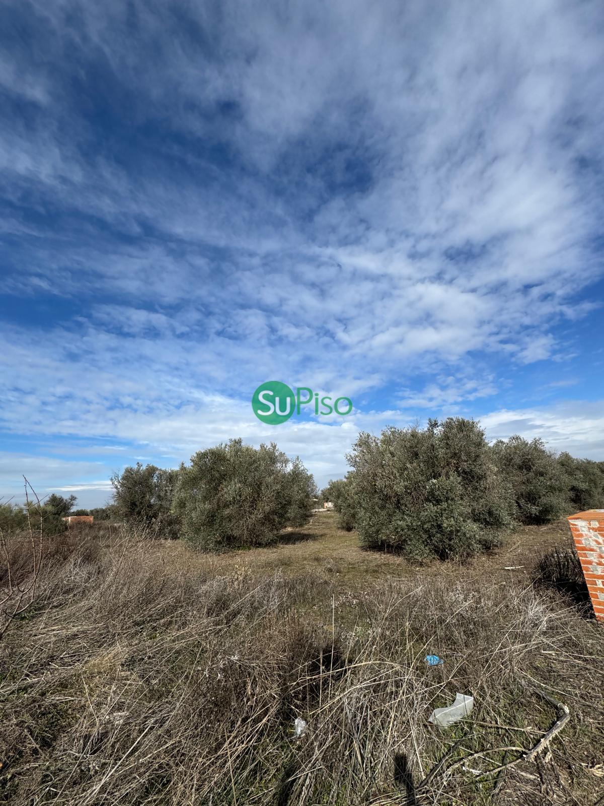 For sale of land in Yeles