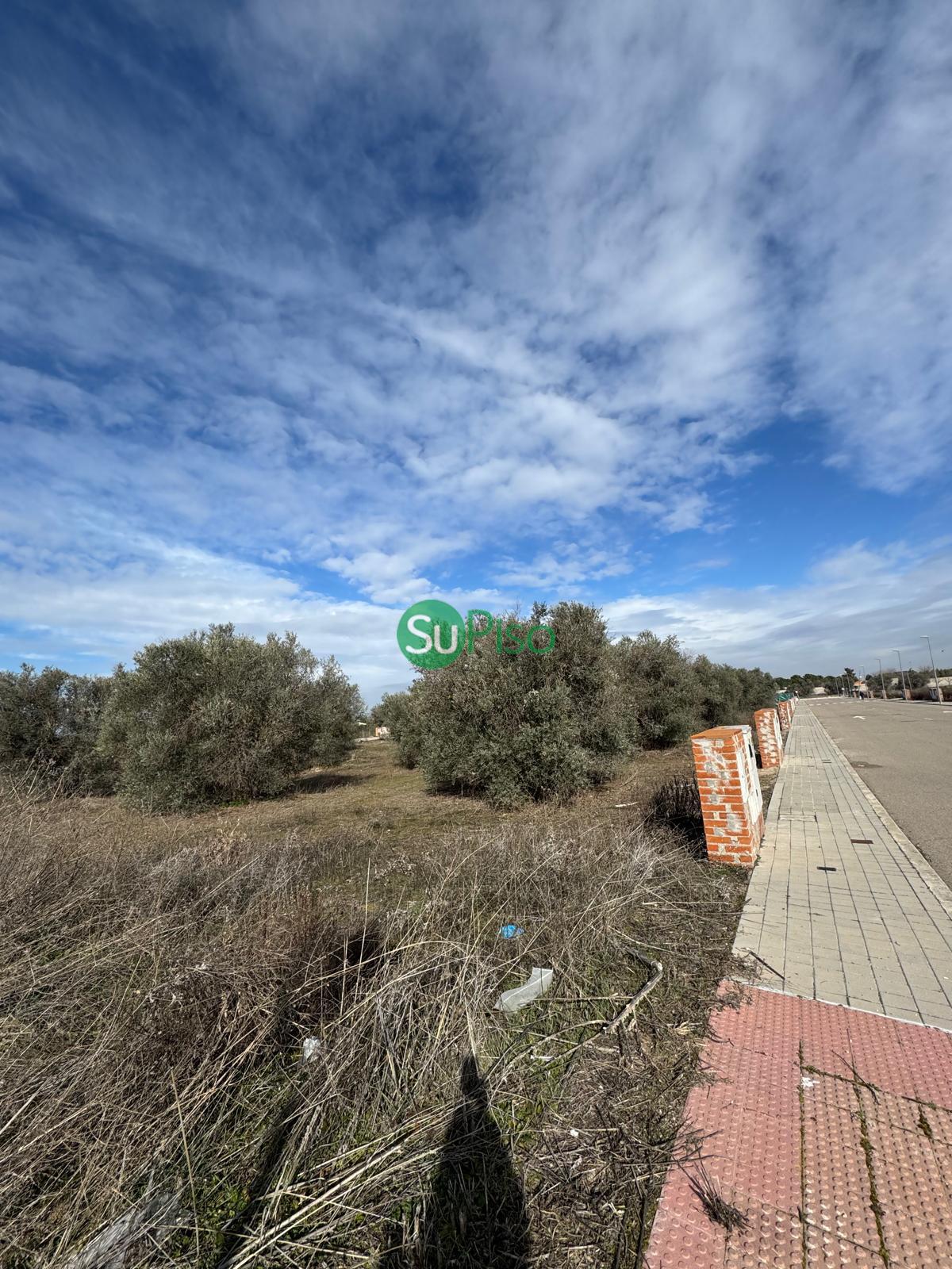 For sale of land in Yeles