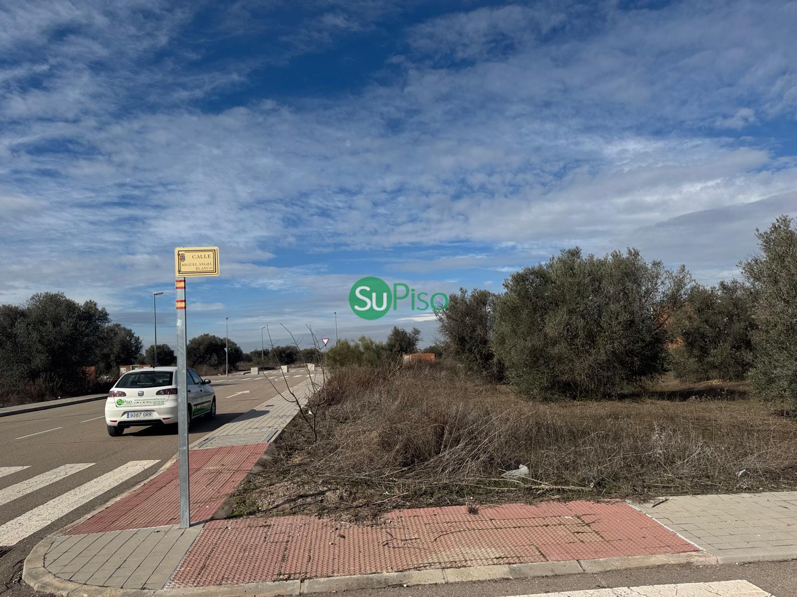 For sale of land in Yeles