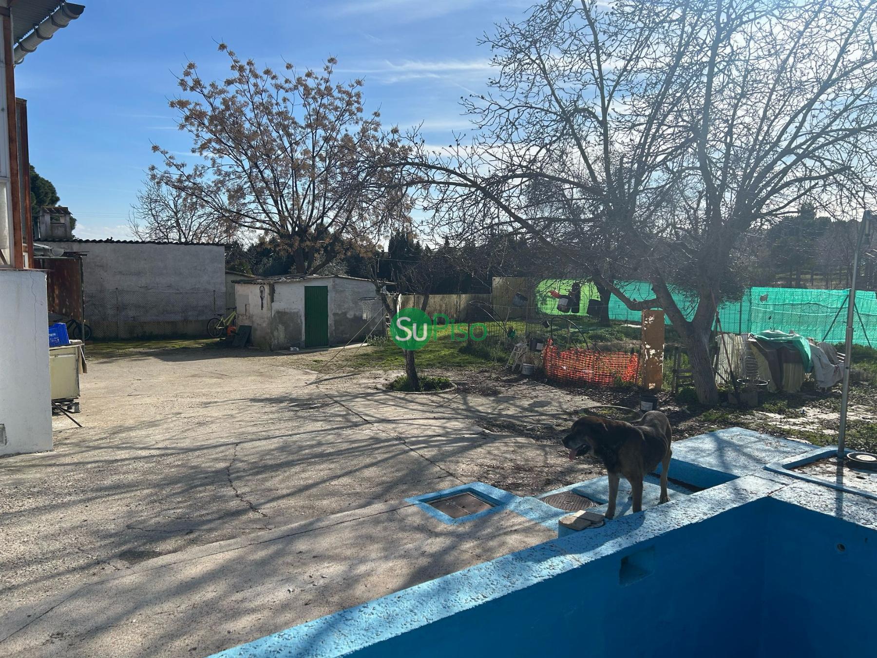 For sale of chalet in Cedillo del Condado
