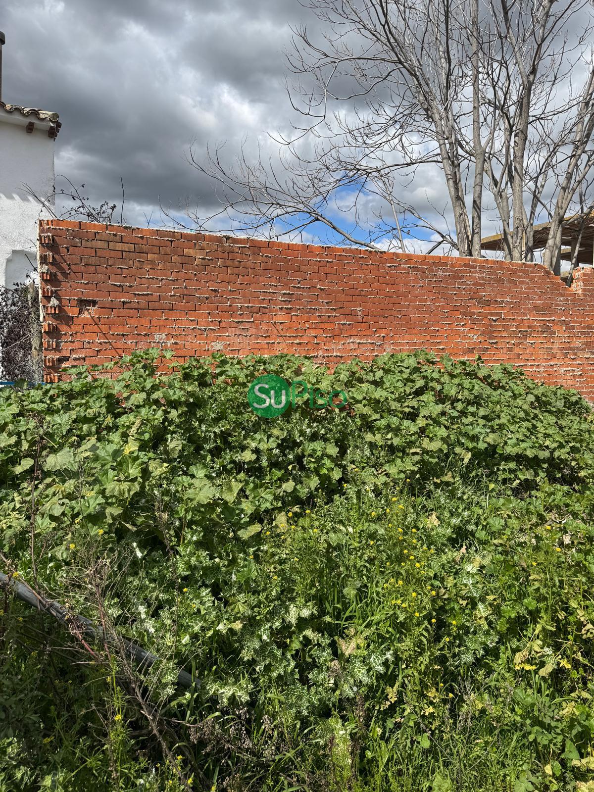 Venta de terreno en Cedillo del Condado