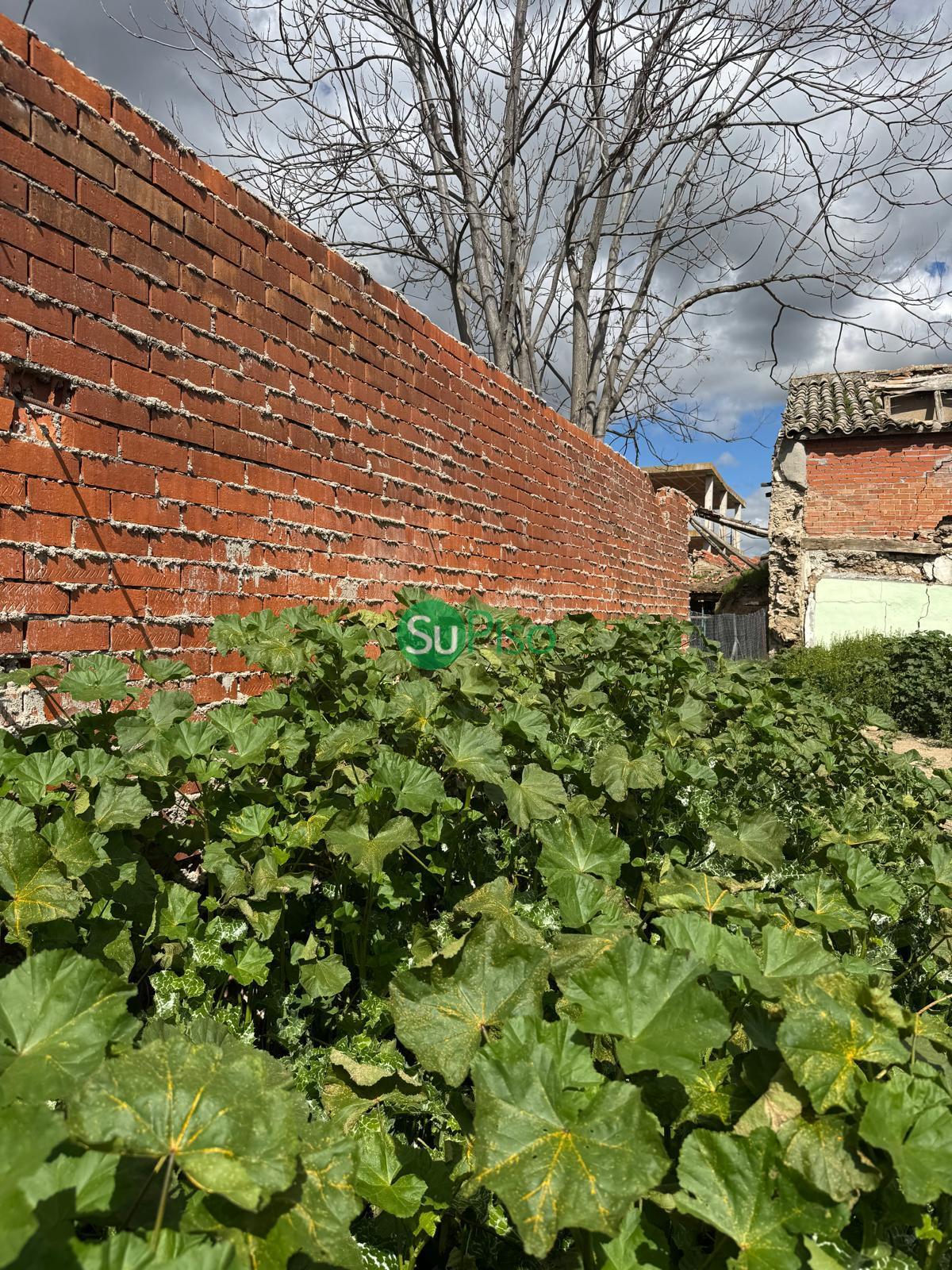 Venta de terreno en Cedillo del Condado