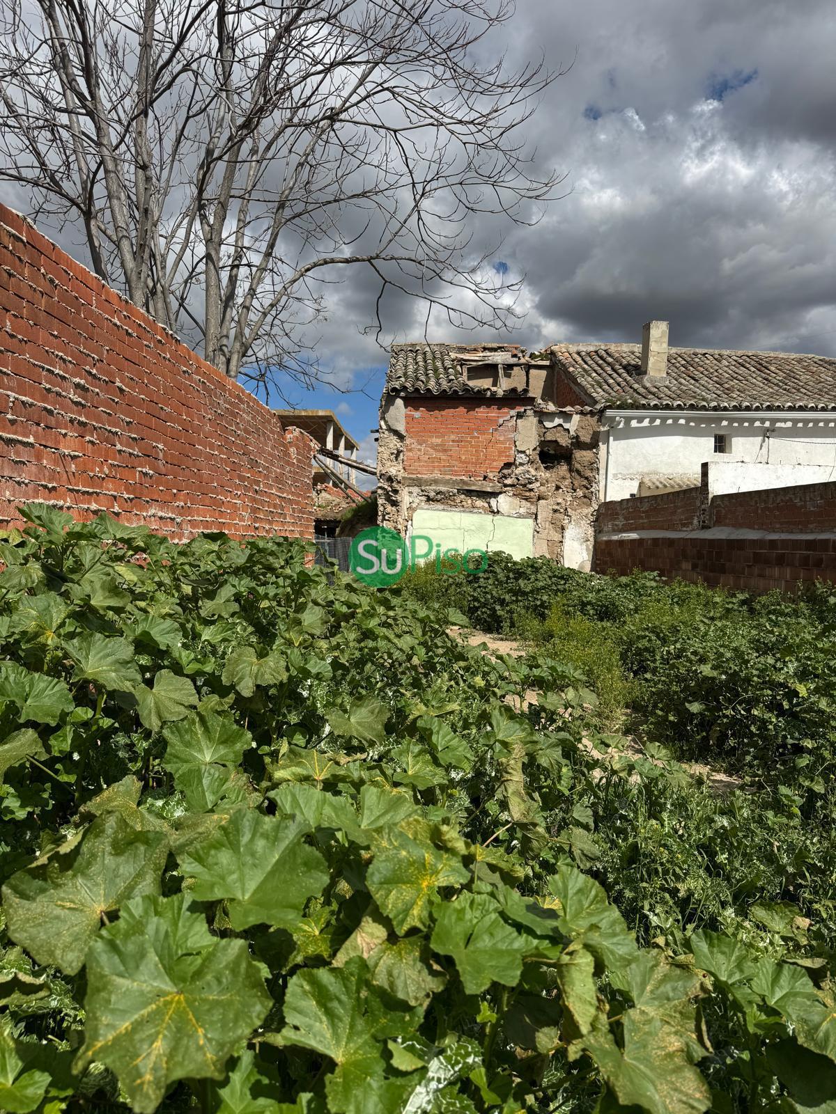 Venta de terreno en Cedillo del Condado