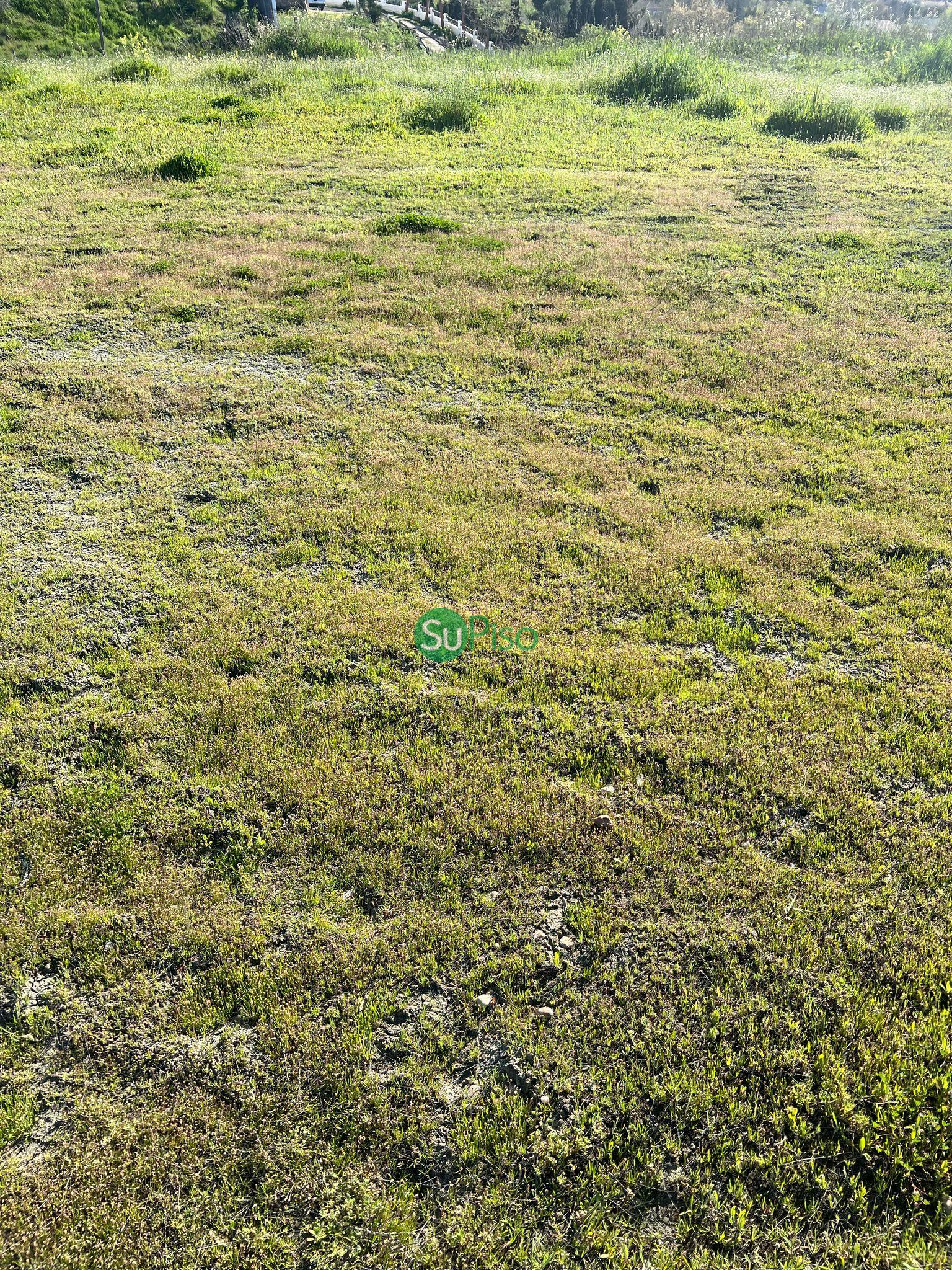 For sale of land in Yeles
