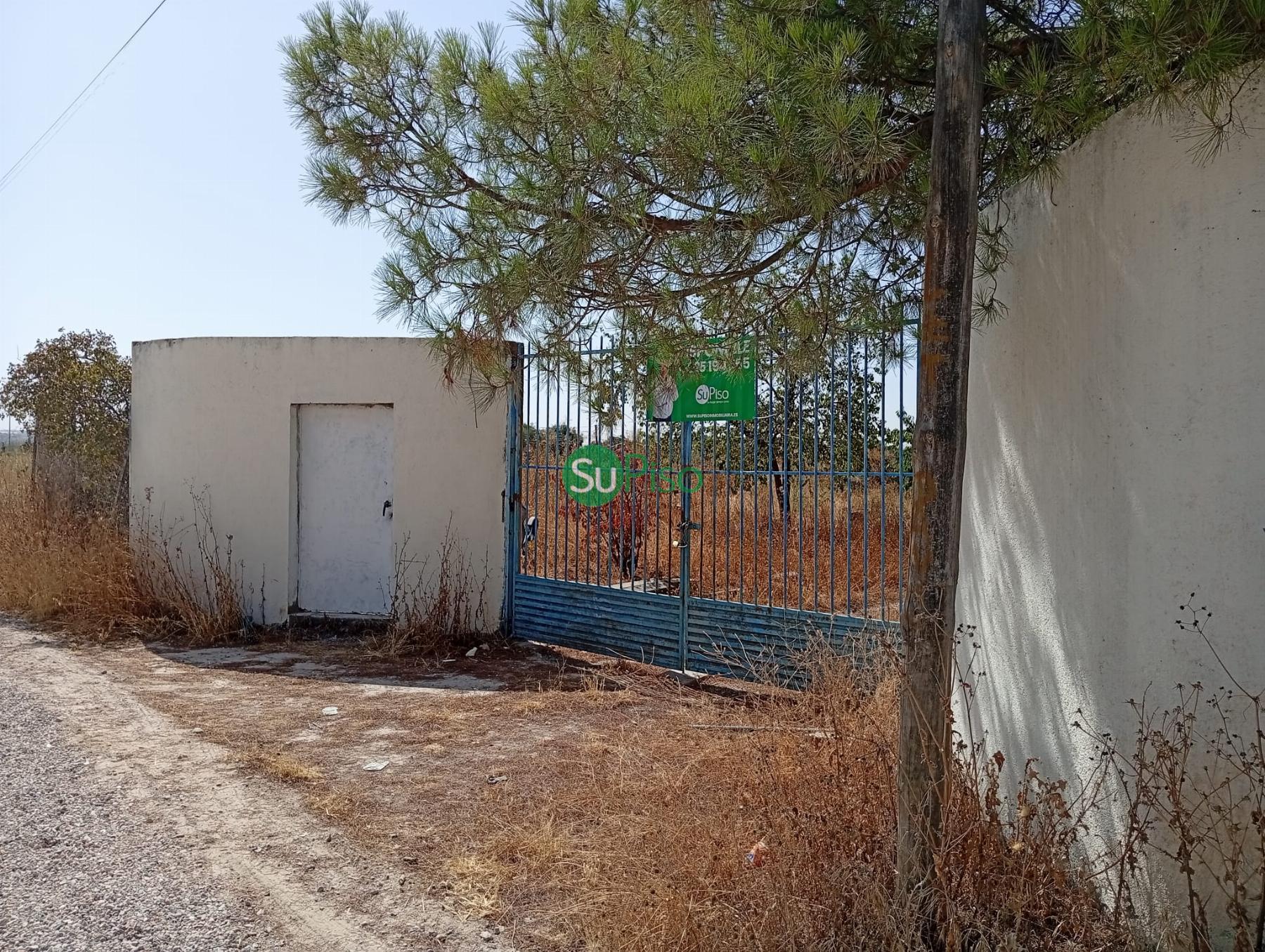 Venta de finca rústica en Yeles