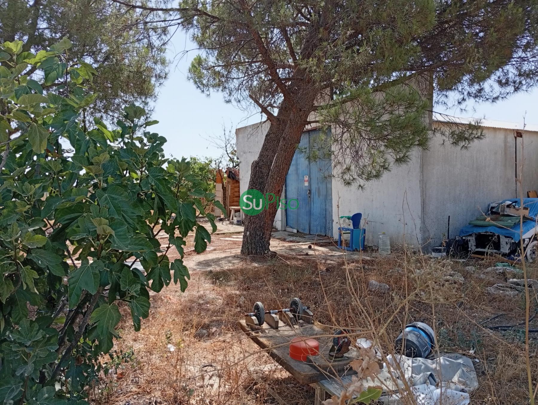 Venta de finca rústica en Yeles