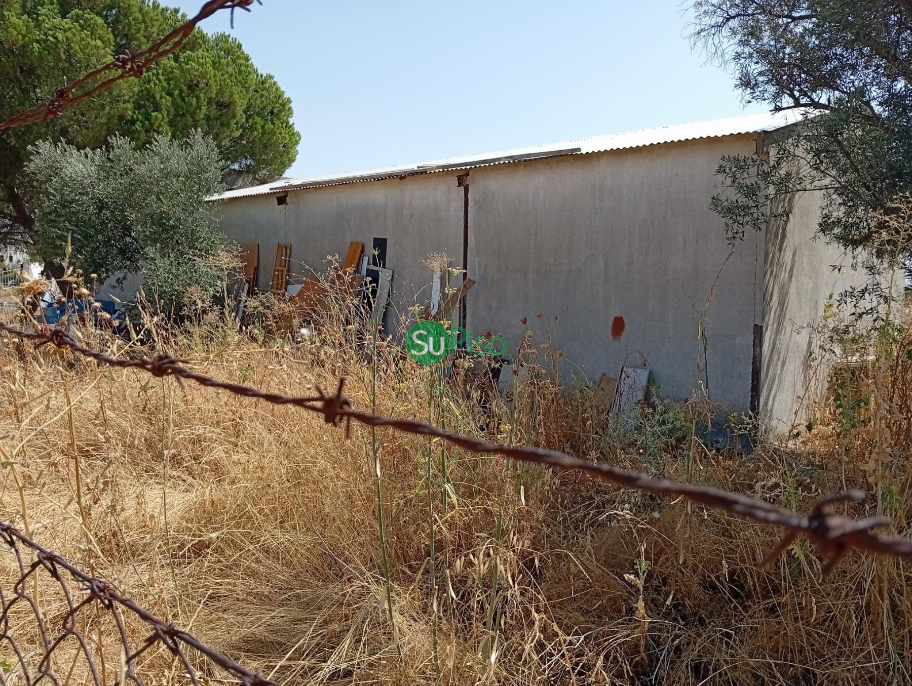 Venta de finca rústica en Yeles
