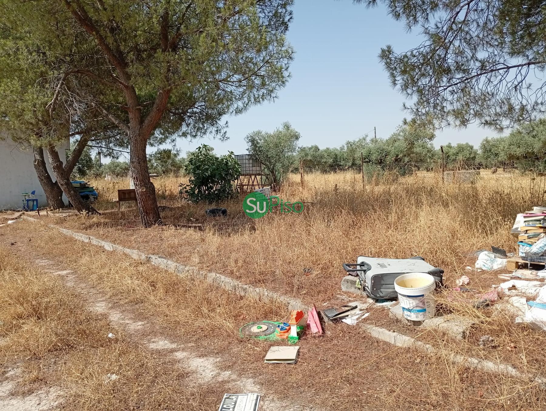 Venta de finca rústica en Yeles