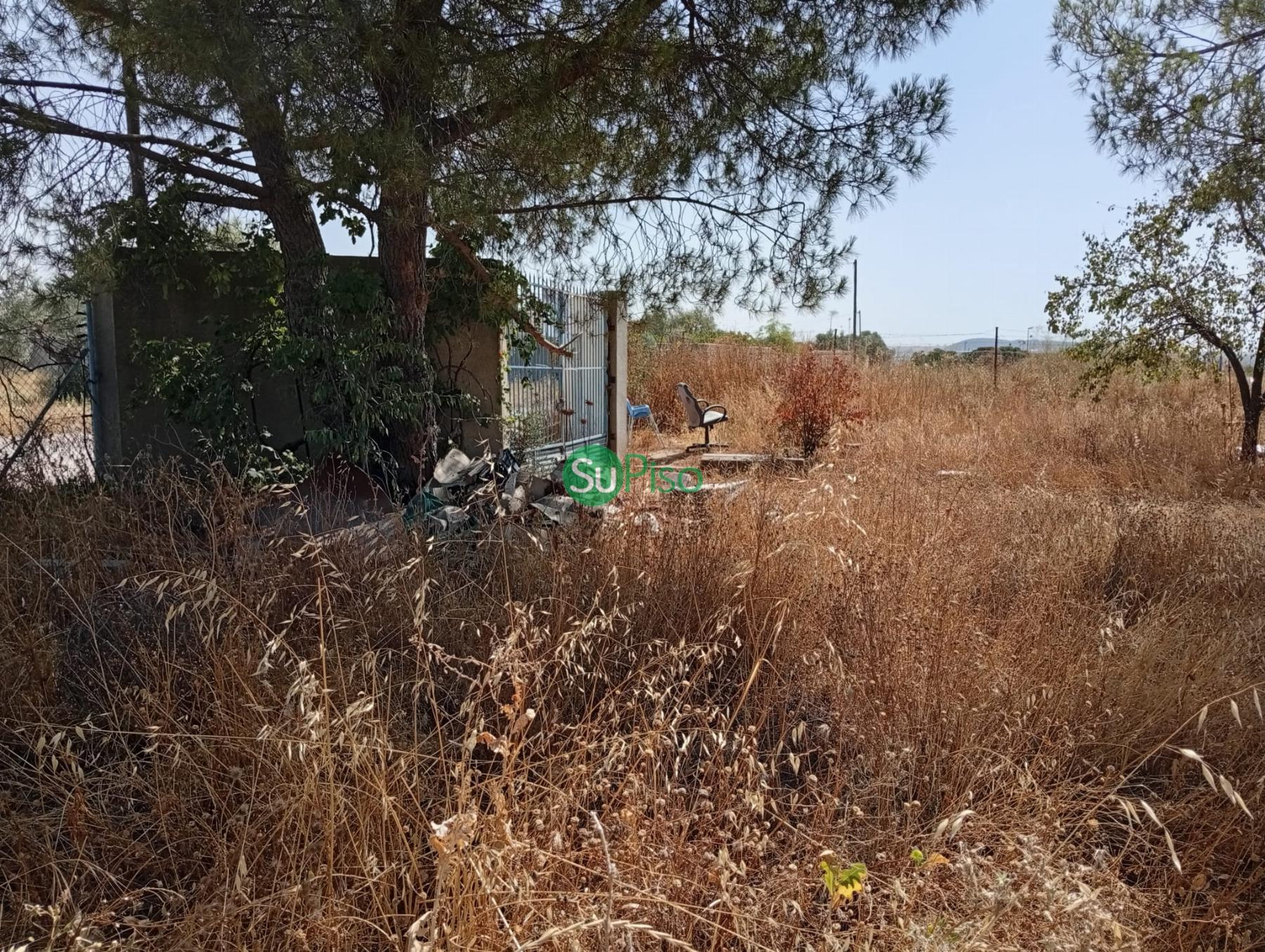 Venta de finca rústica en Yeles