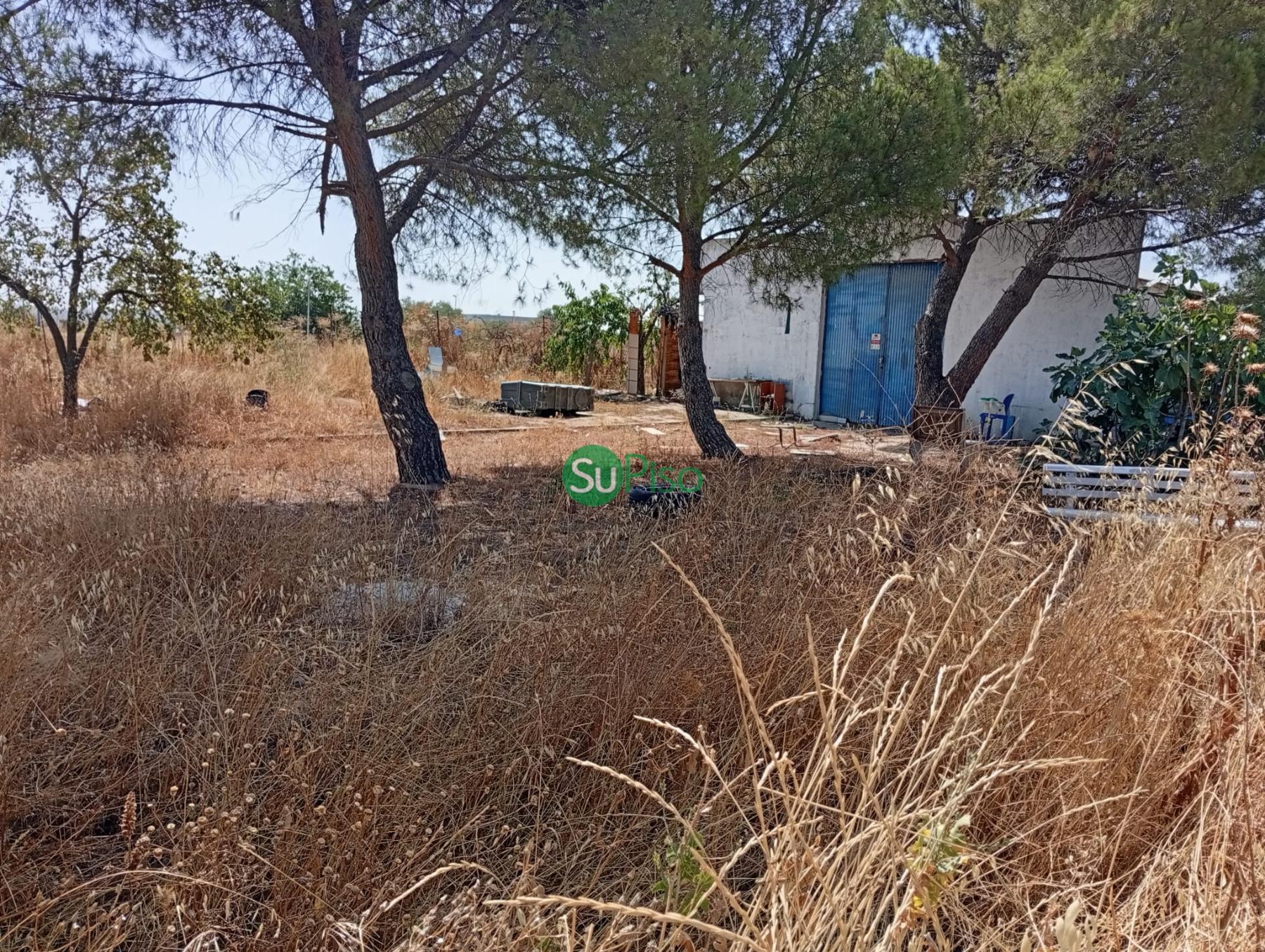 Venta de finca rústica en Yeles