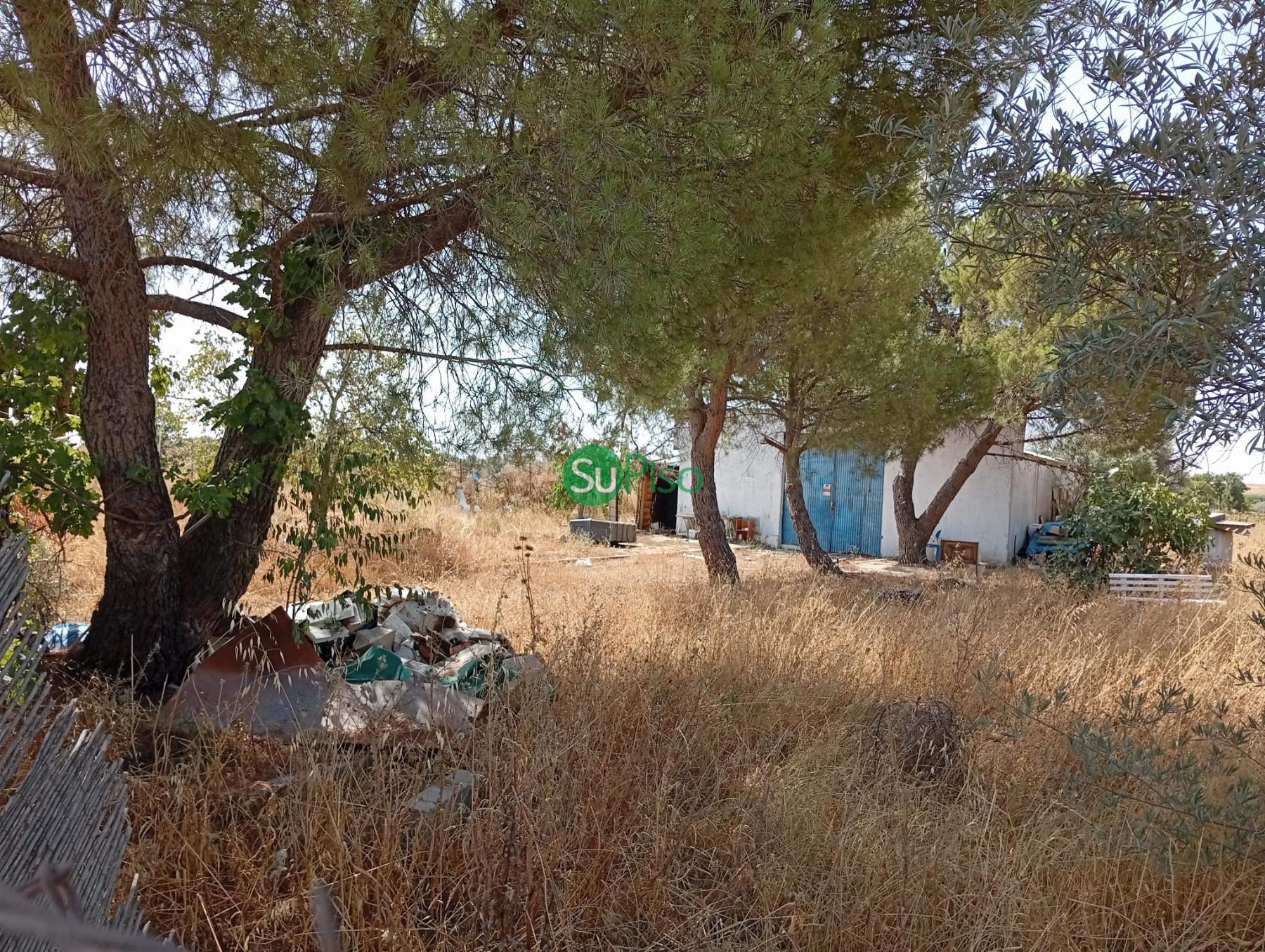 Venta de finca rústica en Yeles