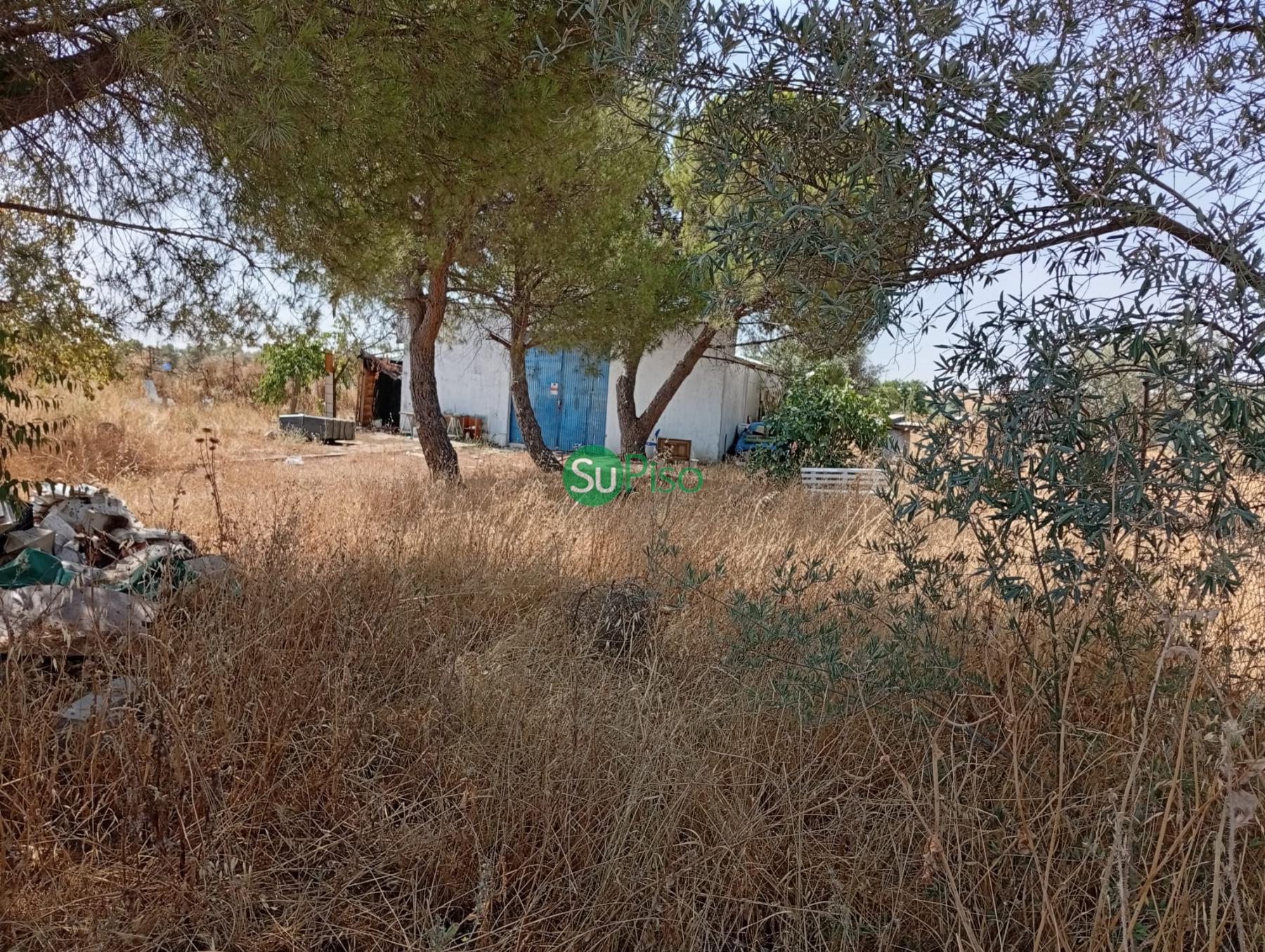 Venta de finca rústica en Yeles