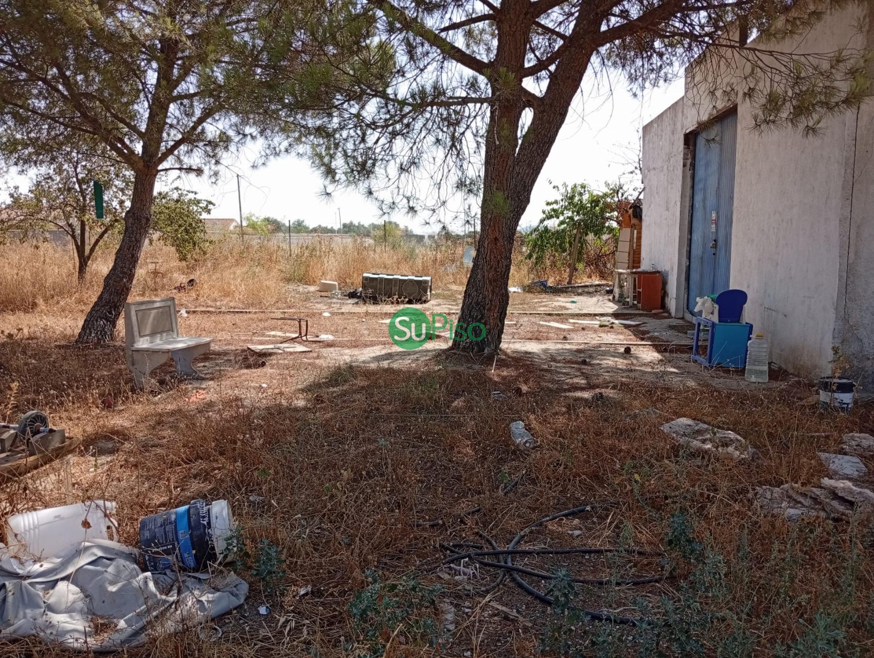 Venta de finca rústica en Yeles