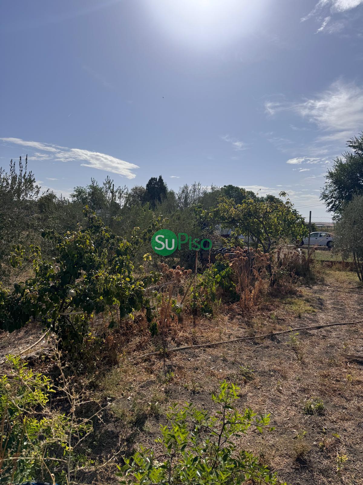 Venta de casa en Yeles