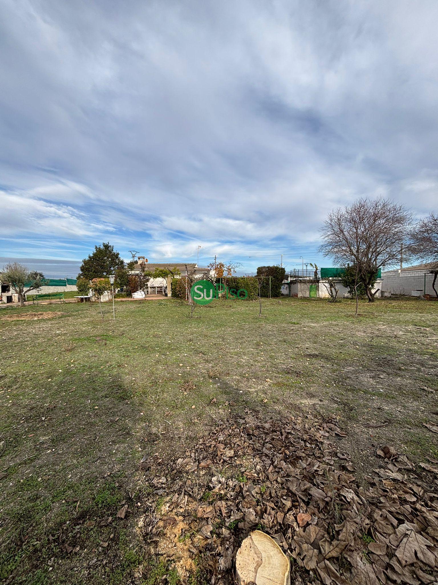 Venta de chalet en El Viso de San Juan