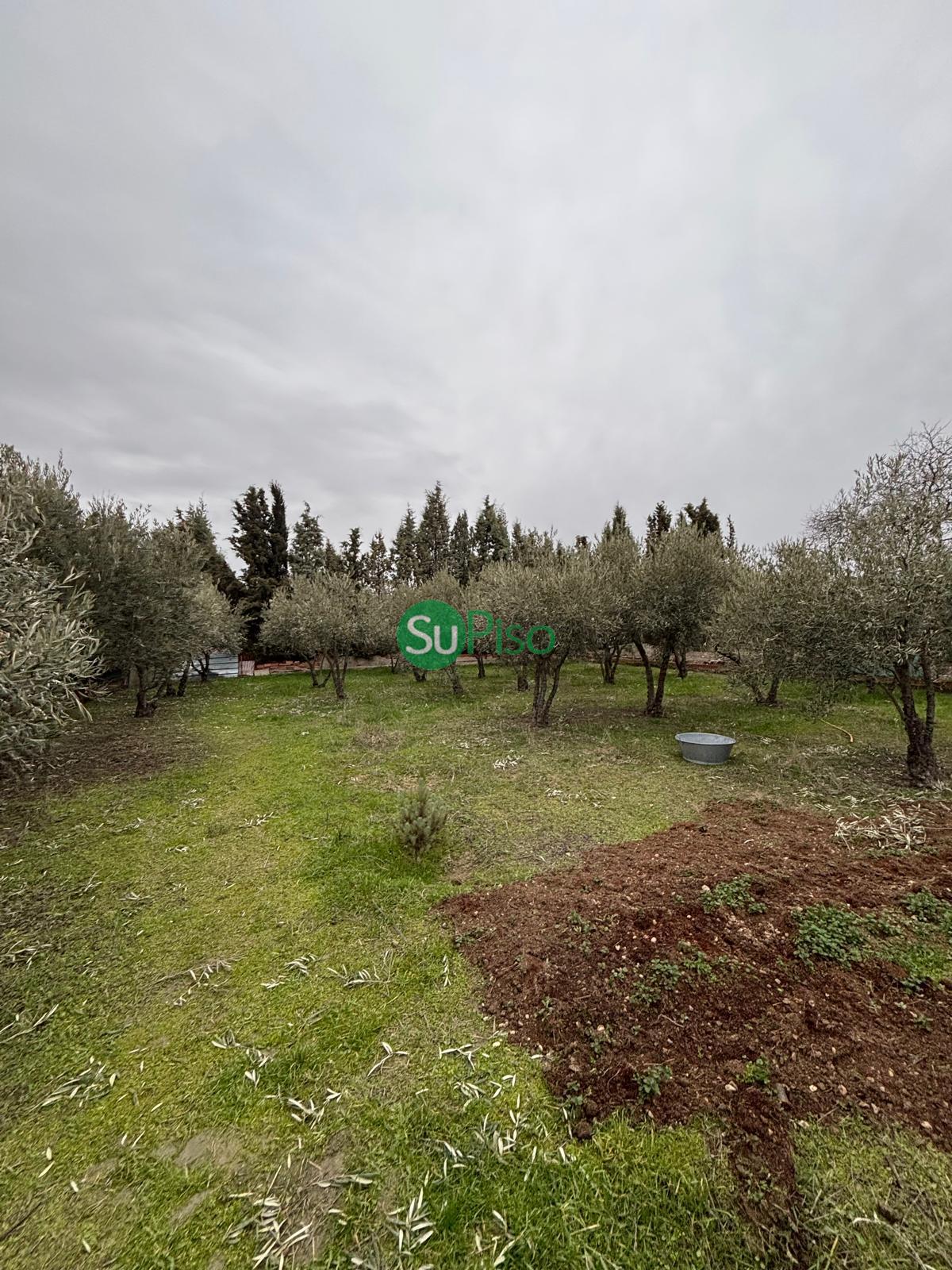 For sale of house in Yeles