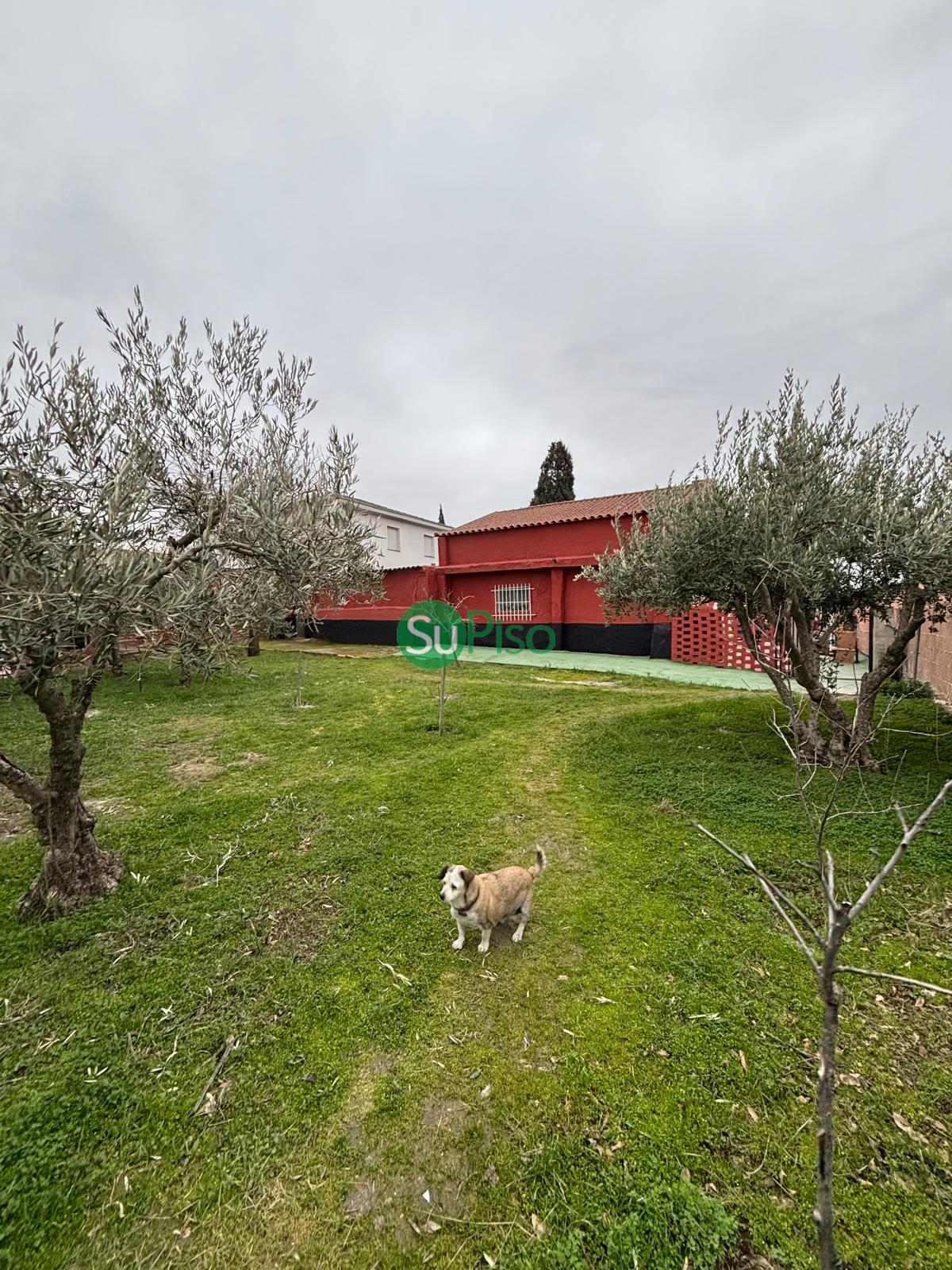 For sale of house in Yeles