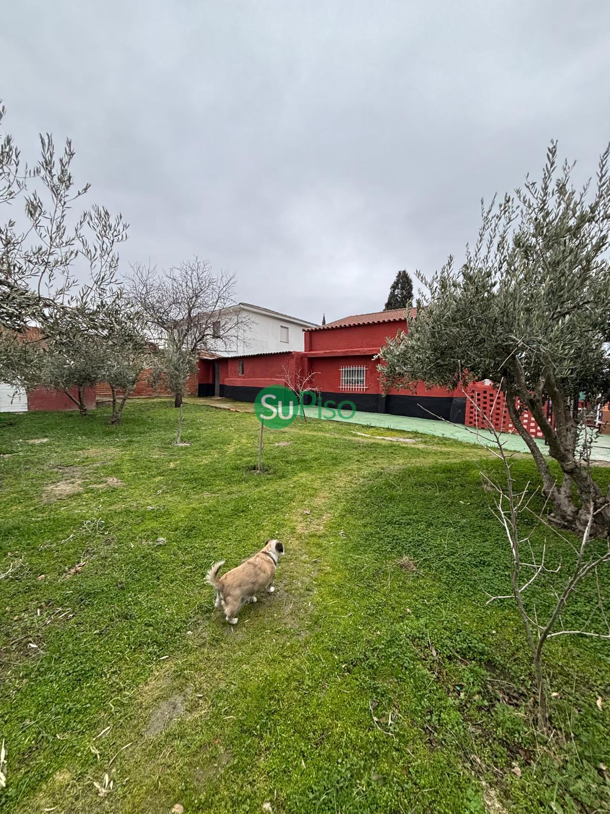 For sale of house in Yeles