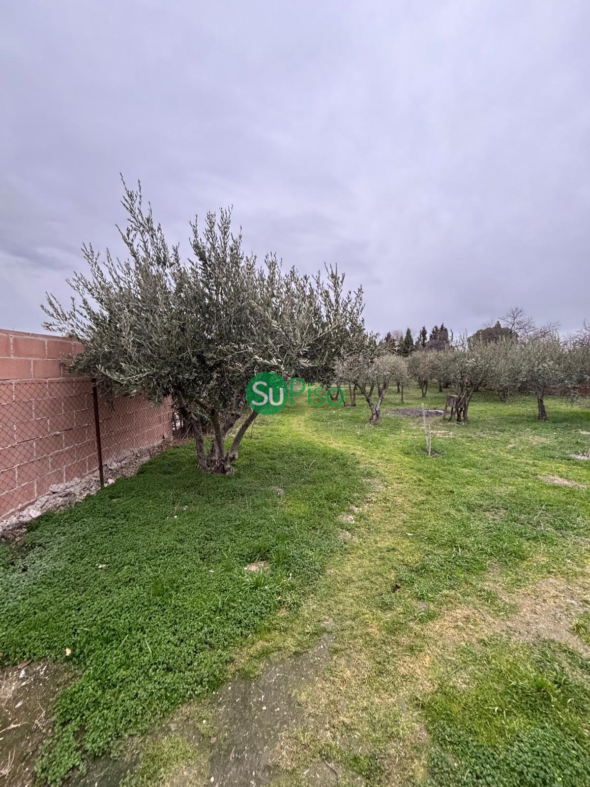 For sale of house in Yeles