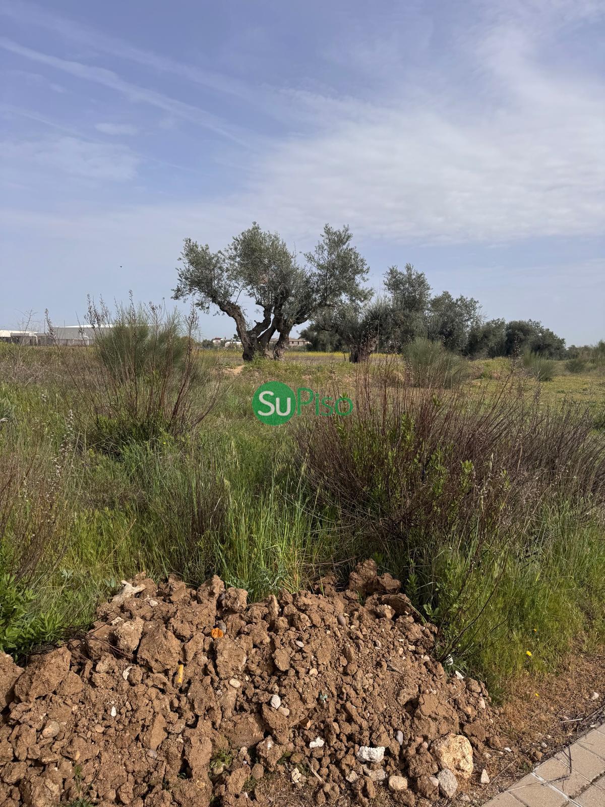 Venta de terreno en Yeles