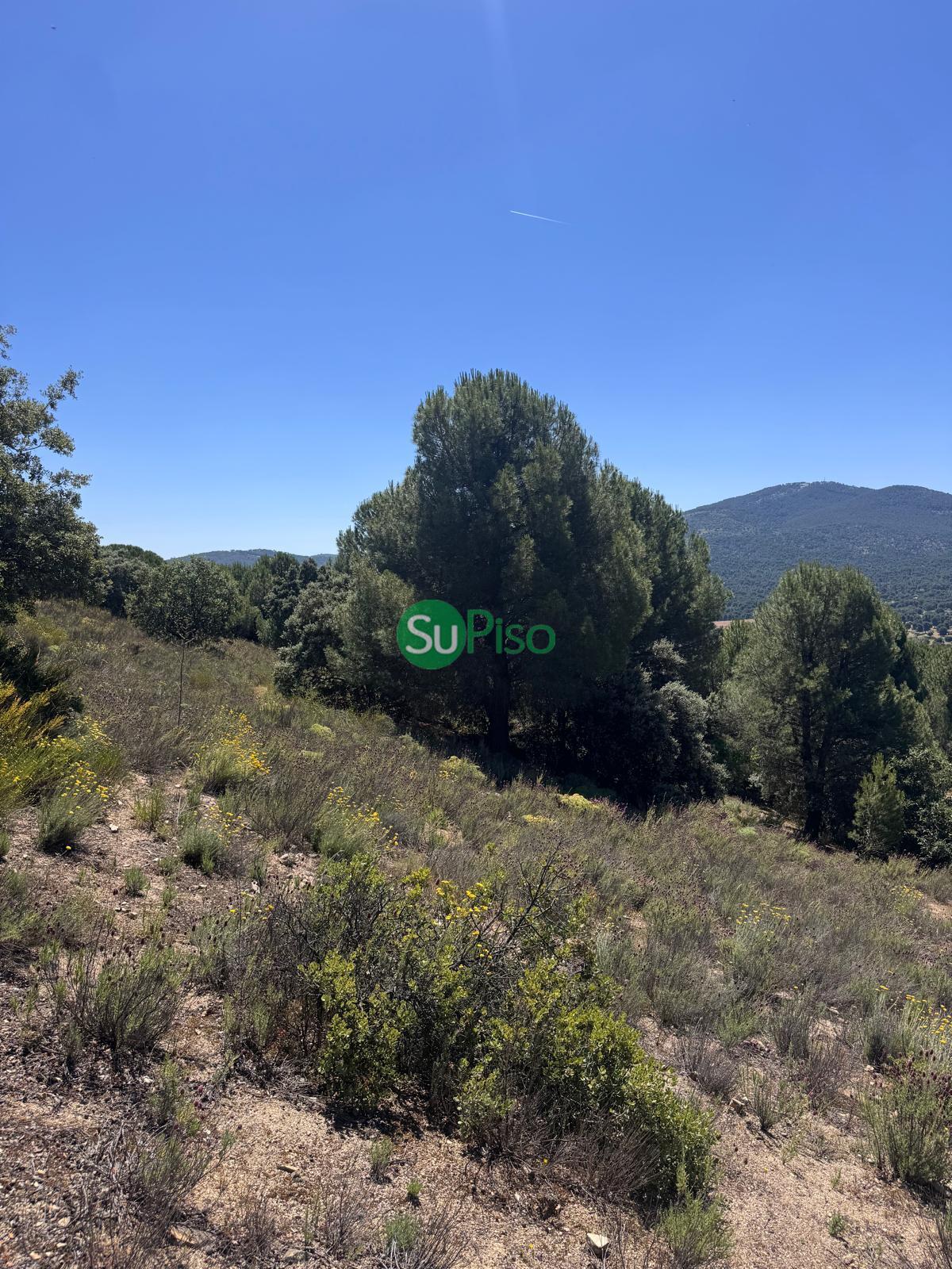 Venta de casa en San Martín de Valdeiglesias