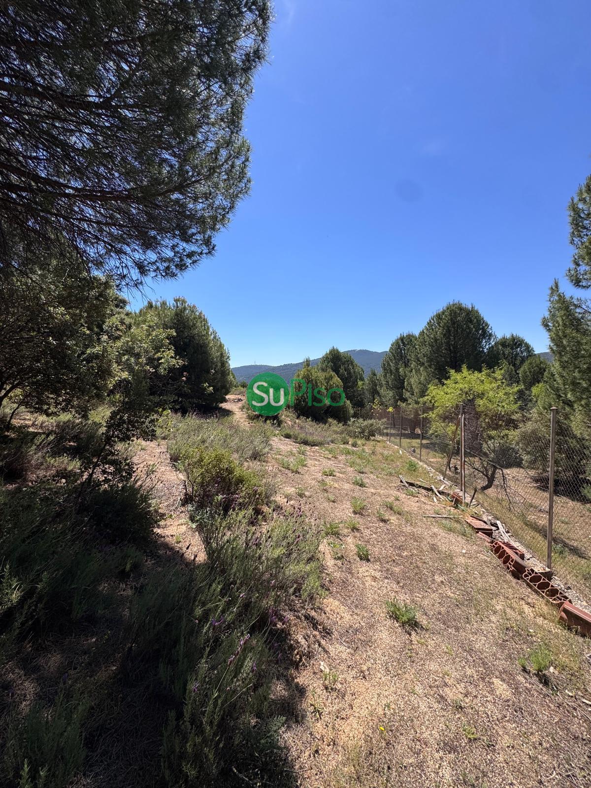 Venta de casa en San Martín de Valdeiglesias