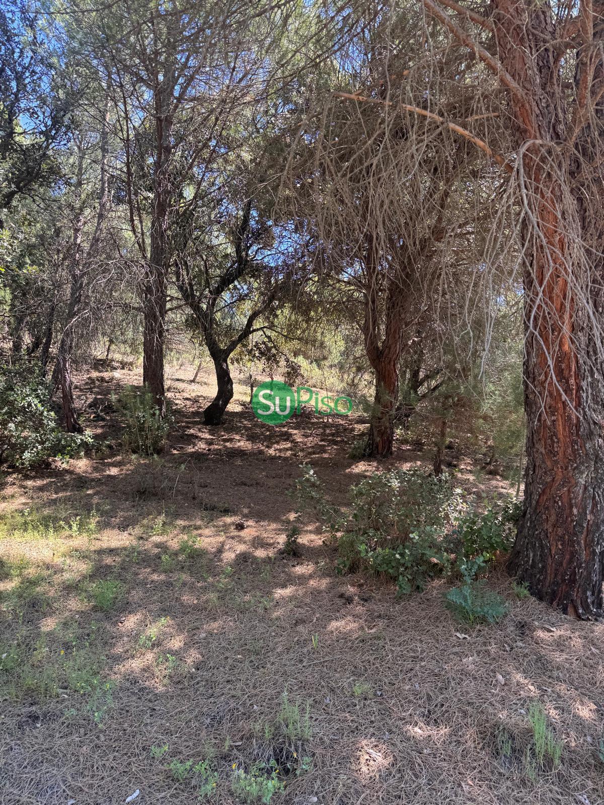 Venta de casa en San Martín de Valdeiglesias
