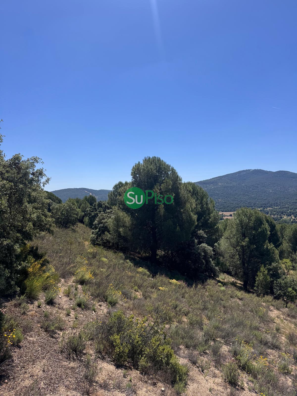 Venta de casa en San Martín de Valdeiglesias