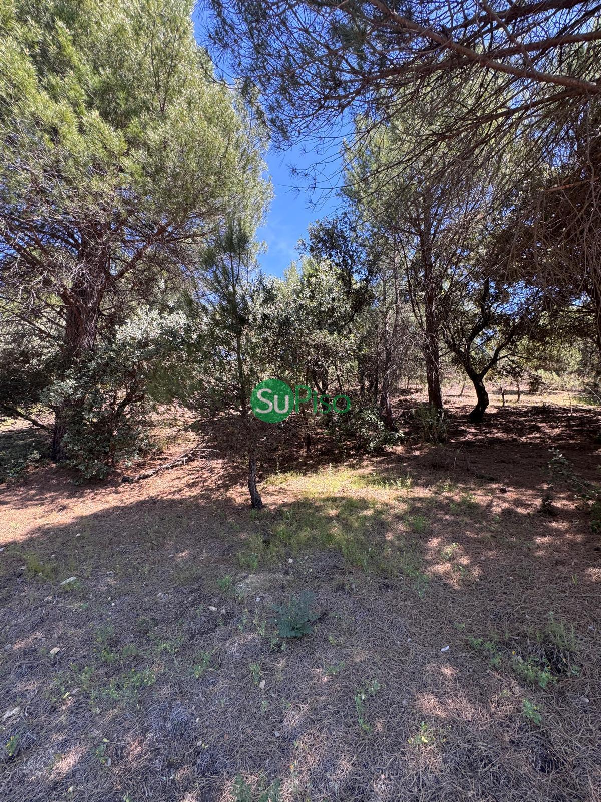 Venta de casa en San Martín de Valdeiglesias