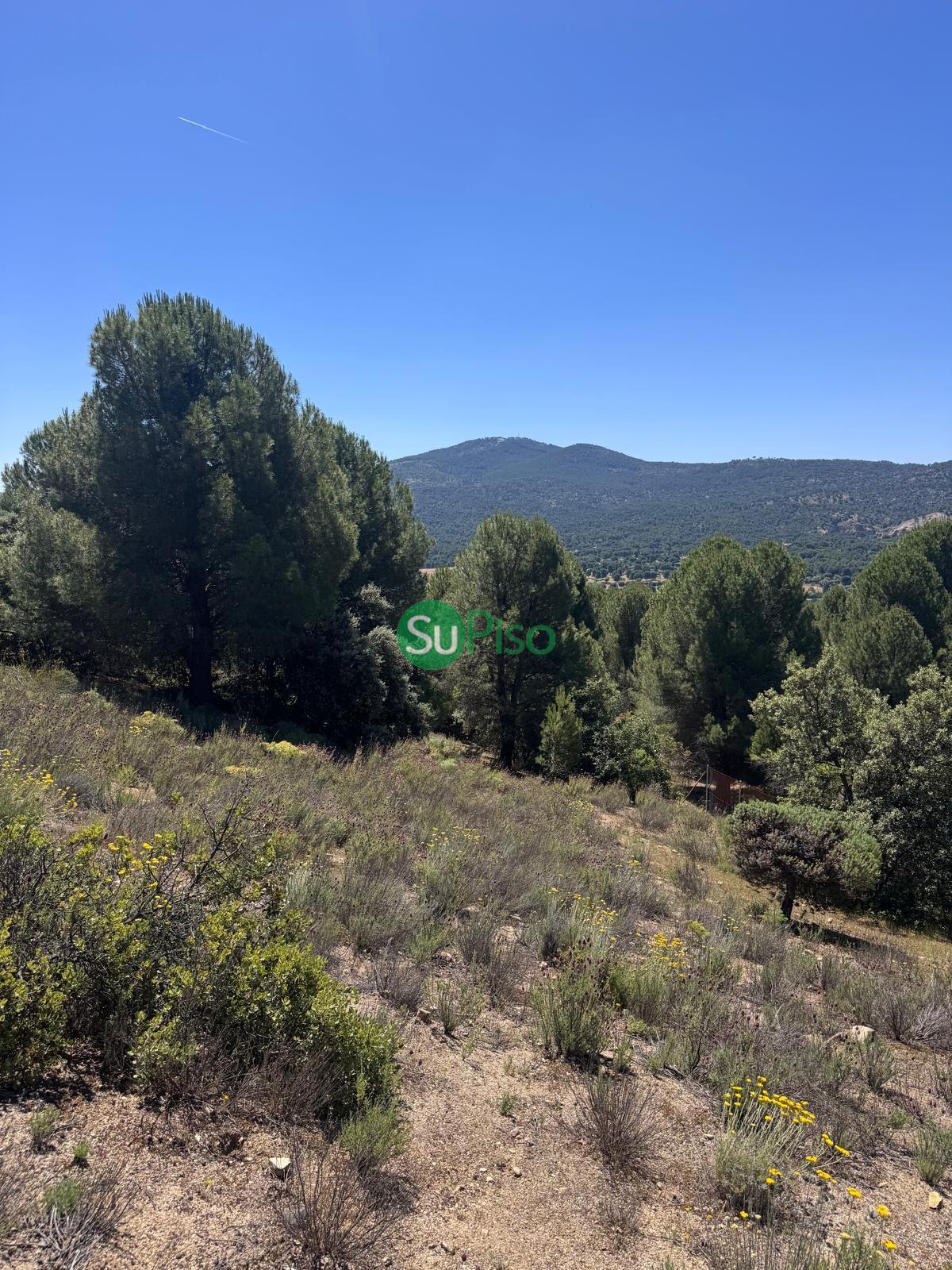 Venta de casa en San Martín de Valdeiglesias