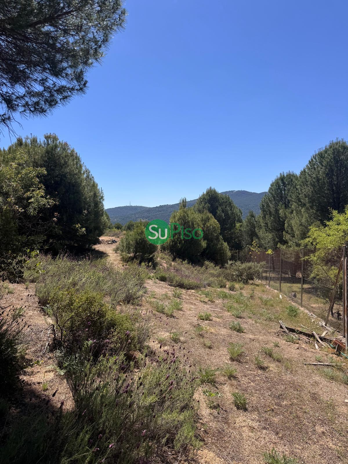Venta de casa en San Martín de Valdeiglesias
