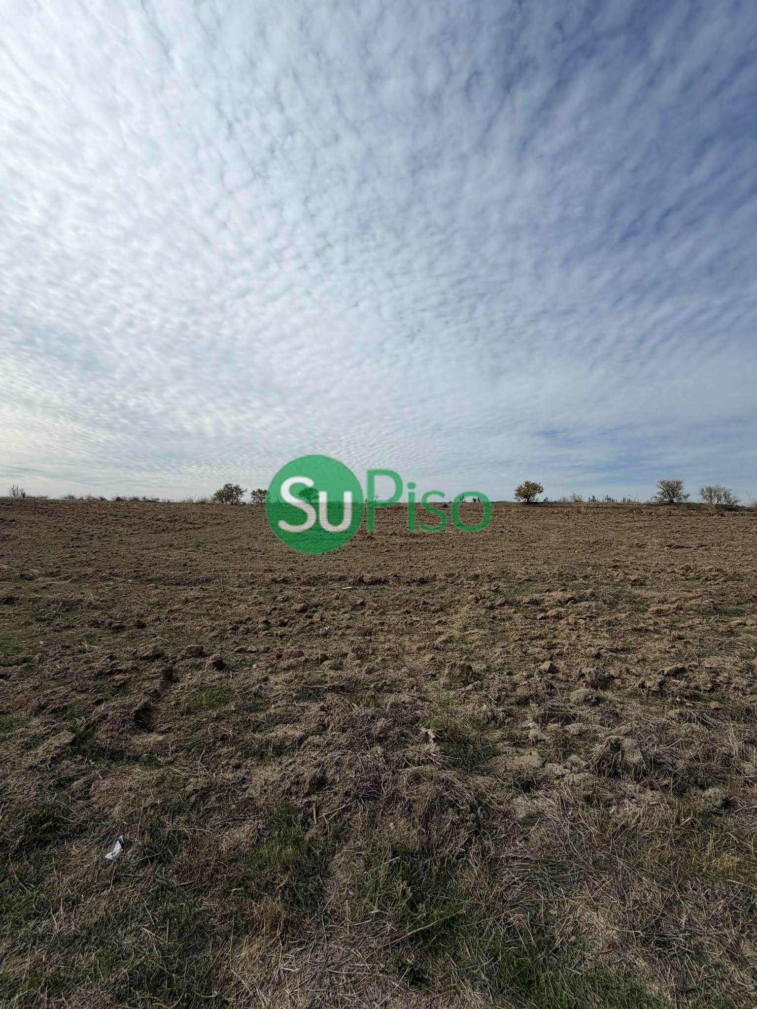 Venta de finca rústica en Yeles