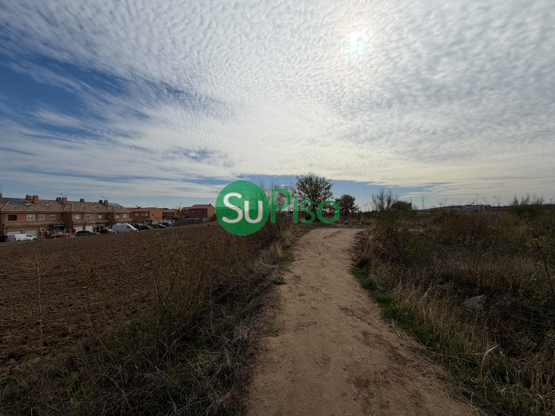 Venta de finca rústica en Yeles