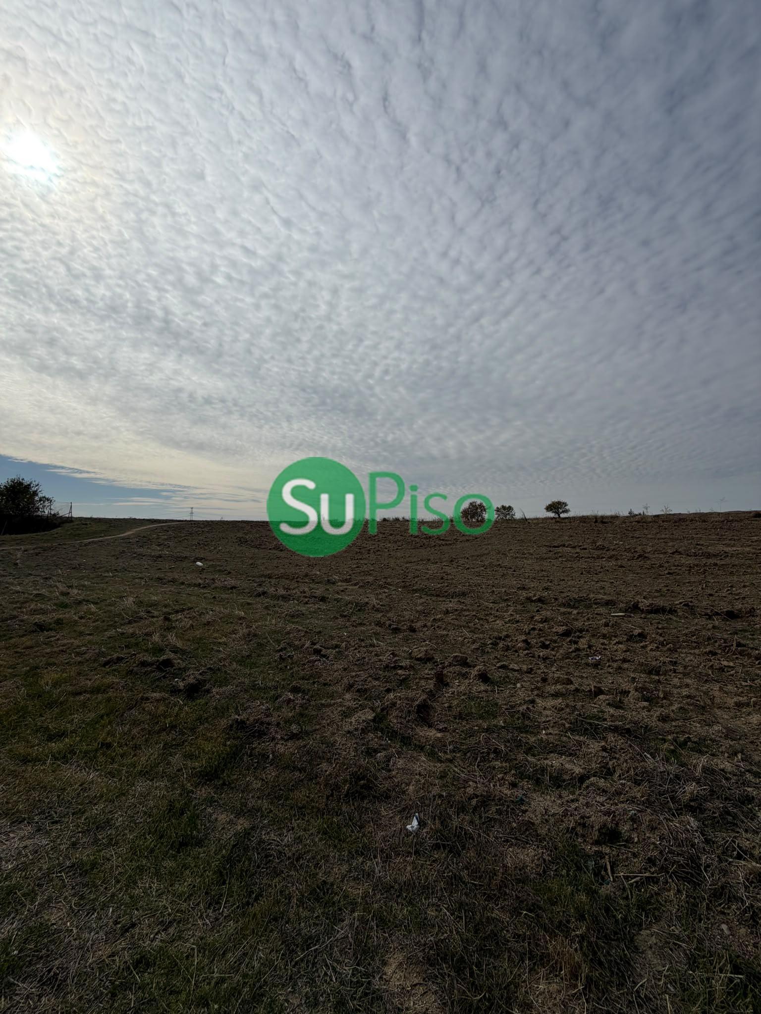 Venta de finca rústica en Yeles