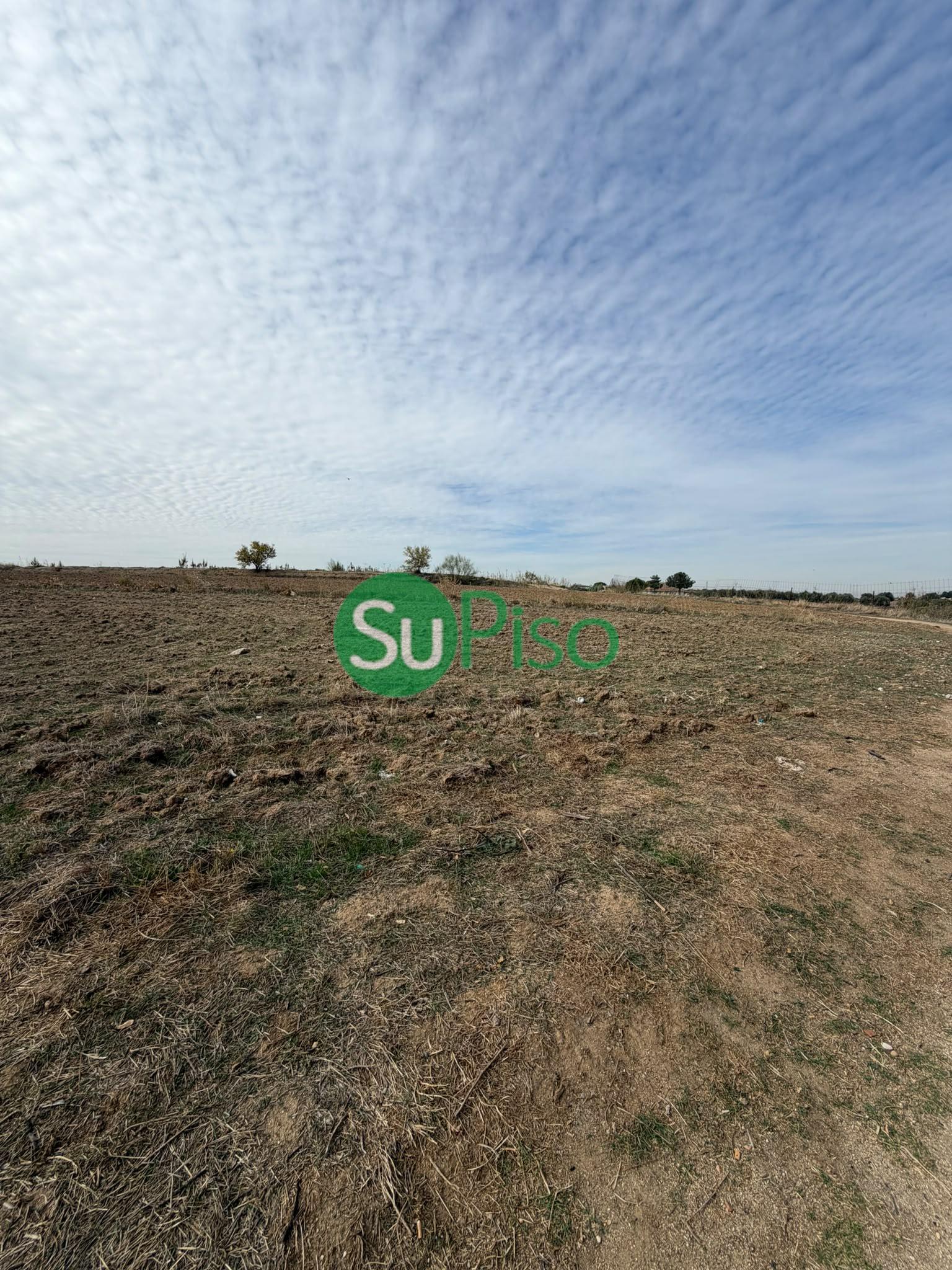 Venta de finca rústica en Yeles