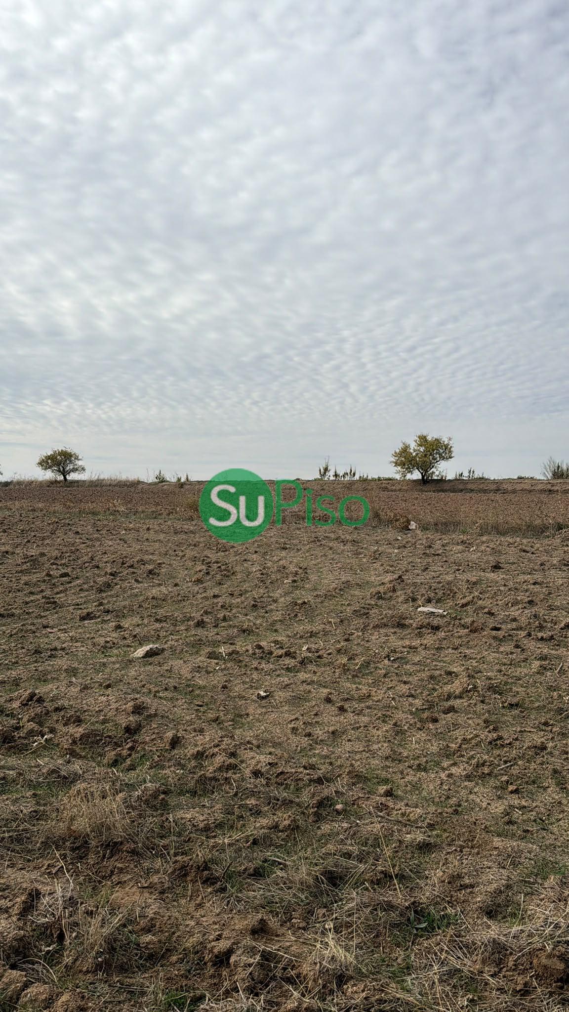 Venta de finca rústica en Yeles