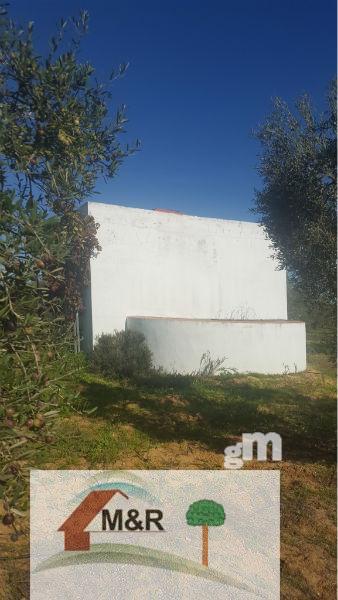 Venta de terreno en Aznalcázar