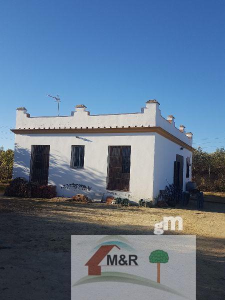 For sale of rural property in Huévar del Aljarafe