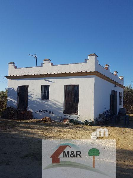 For sale of rural property in Huévar del Aljarafe