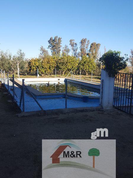 Venta de terreno en Huévar del Aljarafe