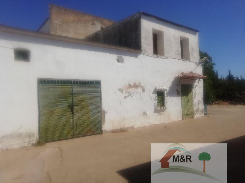 For sale of land in Bollullos de la Mitación